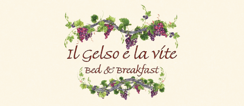 B&B Il Gelso e la Vite